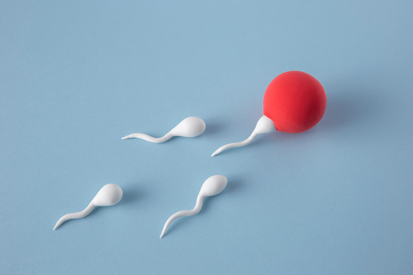 Fertilizing Round Sperm: Recent Studies and Success Rates